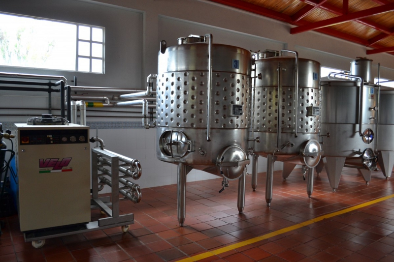 cave-TENDE-min_wine_production_cantine_winery_drink_alcohol_vine_beverage-902036